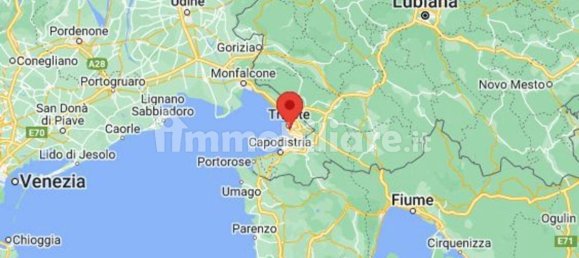Propriété commerciale à Trieste, Italy 115m² No. 315819 10