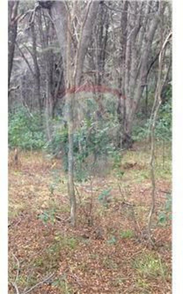  Land in San Carlos de Bariloche, Argentina No. 40727