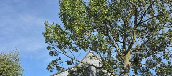 4 bedrooms House in Dusseldorf, Germany No. 312631 16