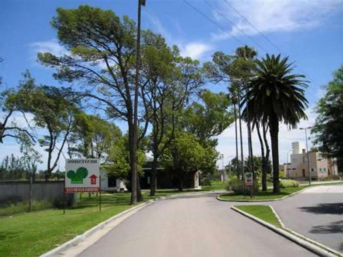  Land in Cordoba, Argentina No. 41701