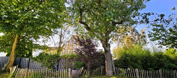 6 bedrooms House in Rhein-Hunsruck, Germany No. 324483 33