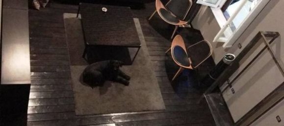 5 bedrooms Villa in Milan, Italy No. 246670 24