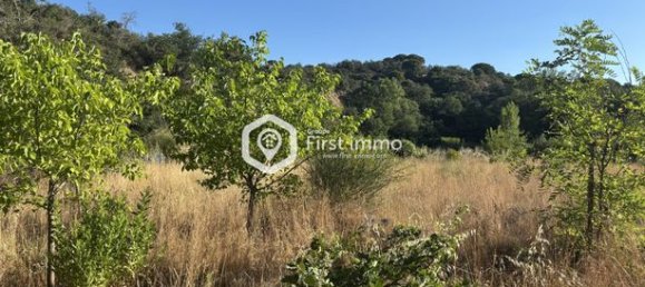 8736m² Land in Ille-sur-Tet, France No. 313997 2