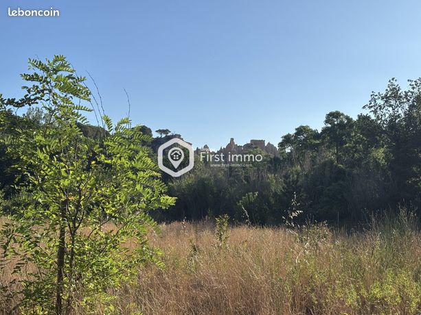 8736m² Land in Ille-sur-Tet, France No. 313997