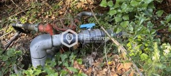 8736m² Land in Ille-sur-Tet, France No. 313997 5