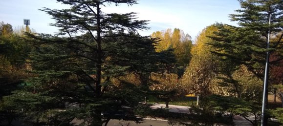 Apartamento de 3 dormitorios en León, Spain No. 158349 18