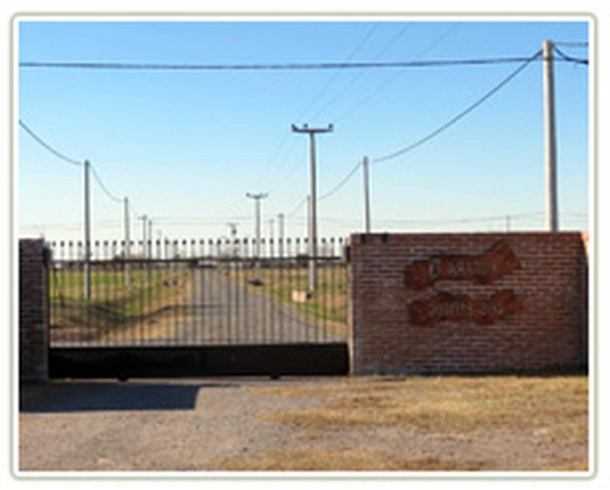  Land in Santa Fe, Argentina No. 41282