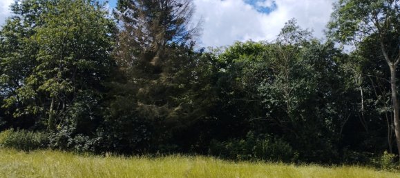 Gebäude in Le Quesnoy, France 360m², Nr. 265035 6