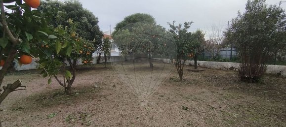 455m² Building in Crato, Portugal No. 69739 22