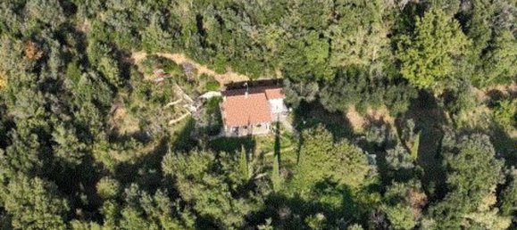 6 bedrooms Villa in Scansano, Italy No. 335813 3