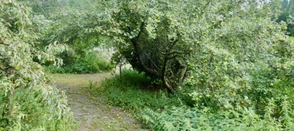 1024m² Land in Bagnolet, France No. 350940 5