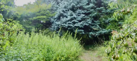 1024m² Land in Bagnolet, France No. 350940 4