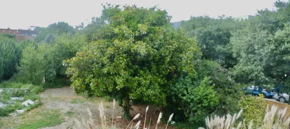 1024m² Land in Bagnolet, France No. 350940 2