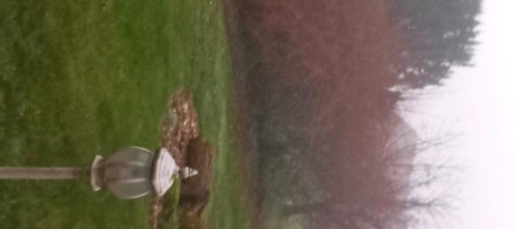 6 Schlafzimmer Stadthaus in Peine, Germany, Nr. 271376 10