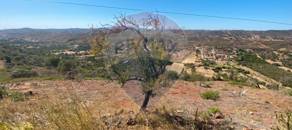 قطعة أرض في Sao Bartolomeu de Messines, Portugal 5880متر مربع رقم 39835 3