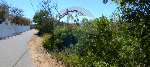 قطعة أرض في Sao Bartolomeu de Messines, Portugal 5880متر مربع رقم 39835 11