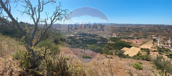 قطعة أرض في Sao Bartolomeu de Messines, Portugal 5880متر مربع رقم 39835 9