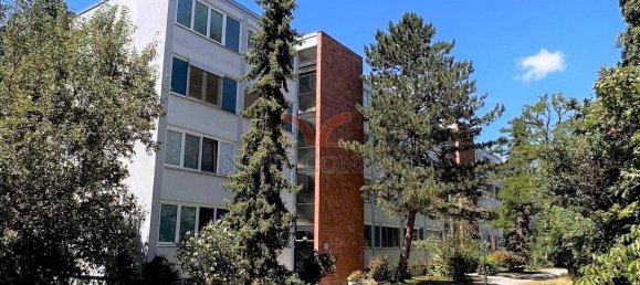 2 bedrooms Apartment in Maria Enzersdorf, Austria No. 161745 2