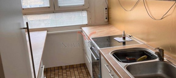 2 bedrooms Apartment in Maria Enzersdorf, Austria No. 161745 10