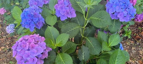 Casa T2 em Piazza Armerina, Italy N.º 370843 21