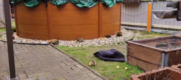 Casa de 4 dormitorios en Sommerda, Germany No. 282909 10