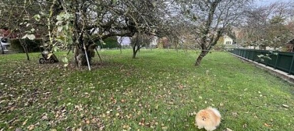 9 chambres Maison à Helfrantzkirch, France No. 49334 14