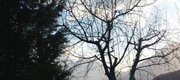 Gebäude in Nemoli, Italy 350m², Nr. 36204 46