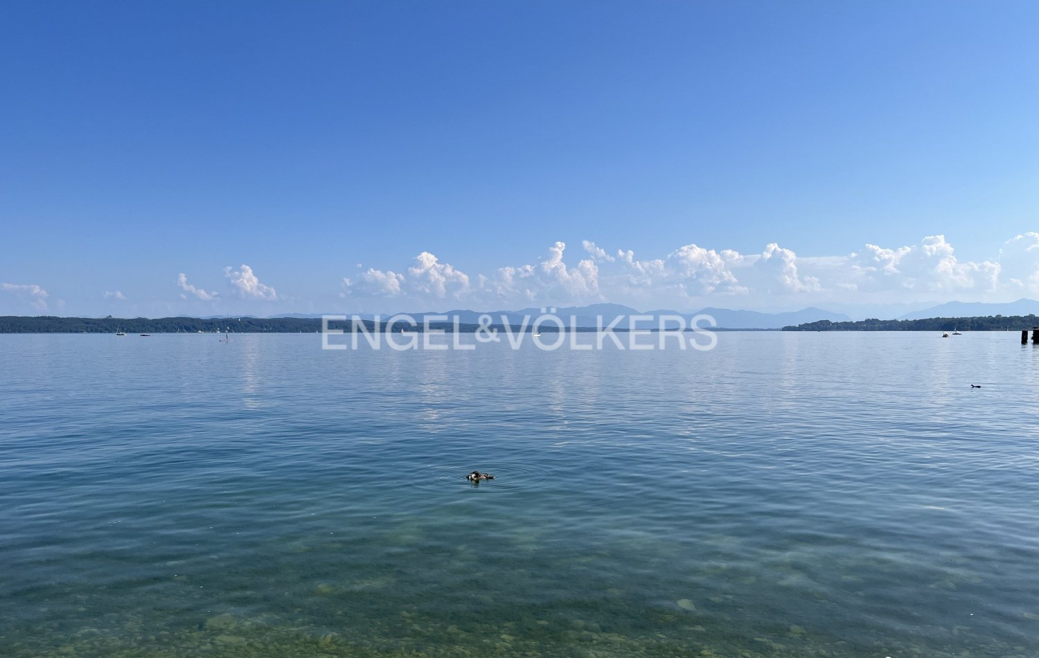 Bâtiment à Starnberg, Germany 582m² No. 176845