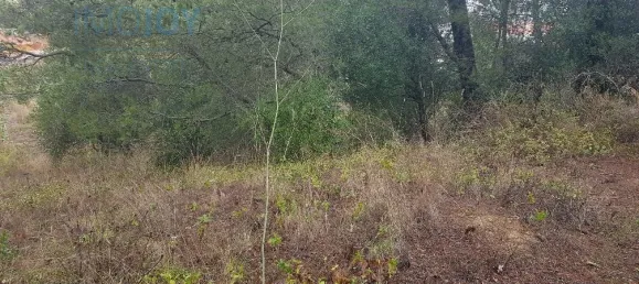 Земельный участок 4019м² в Кашкайш, Португалия № 135843 7