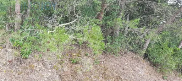 Земельный участок 4019м² в Кашкайш, Португалия № 135843 11