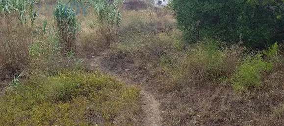 Земельный участок 4019м² в Кашкайш, Португалия № 135843 3