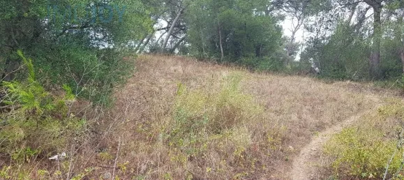 Земельный участок 4019м² в Кашкайш, Португалия № 135843 5