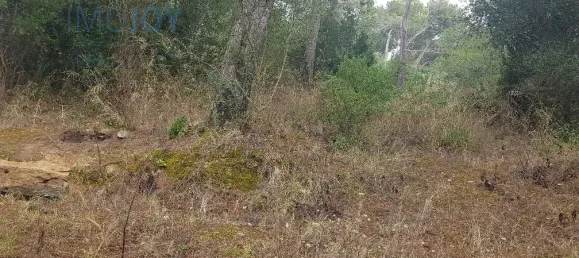 Земельный участок 4019м² в Кашкайш, Португалия № 135843 6