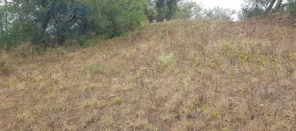 Земельный участок 4019м² в Кашкайш, Португалия № 135843 12