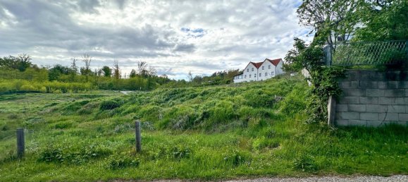  Land in Leobendorf, Austria No. 90579 5