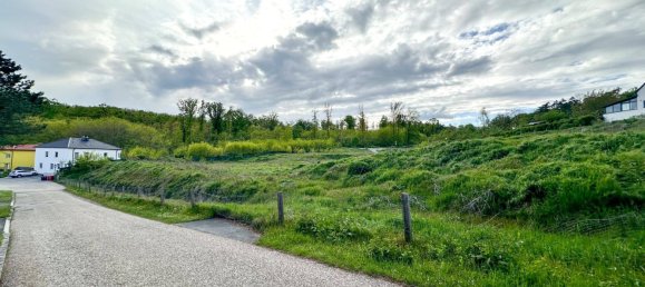  Land in Leobendorf, Austria No. 90579 4