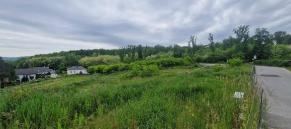  Land in Leobendorf, Austria No. 90579 10