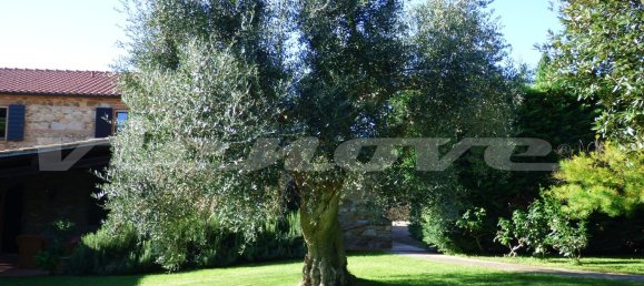 9 bedrooms House in Campiglia Marittima, Italy No. 225696 38