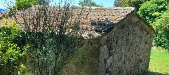 6000m² Land in Roccastrada, Italy No. 252070 4