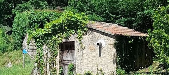 6000m² Land in Roccastrada, Italy No. 252070 3