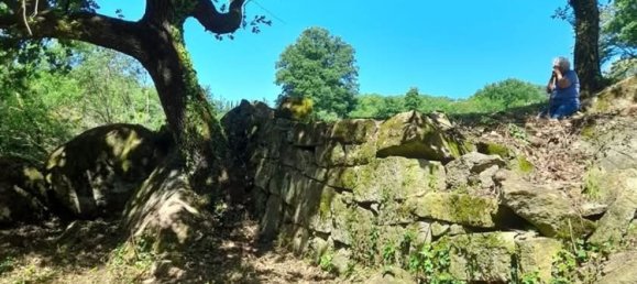 6000m² Land in Roccastrada, Italy No. 252070 2