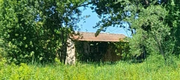 6000m² Land in Roccastrada, Italy No. 252070 5