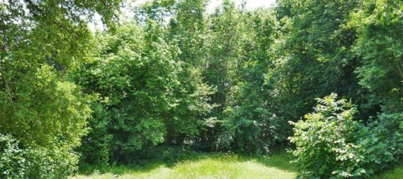 7غرفة قطعة أرض في Gablitz, Austria رقم 98758 6