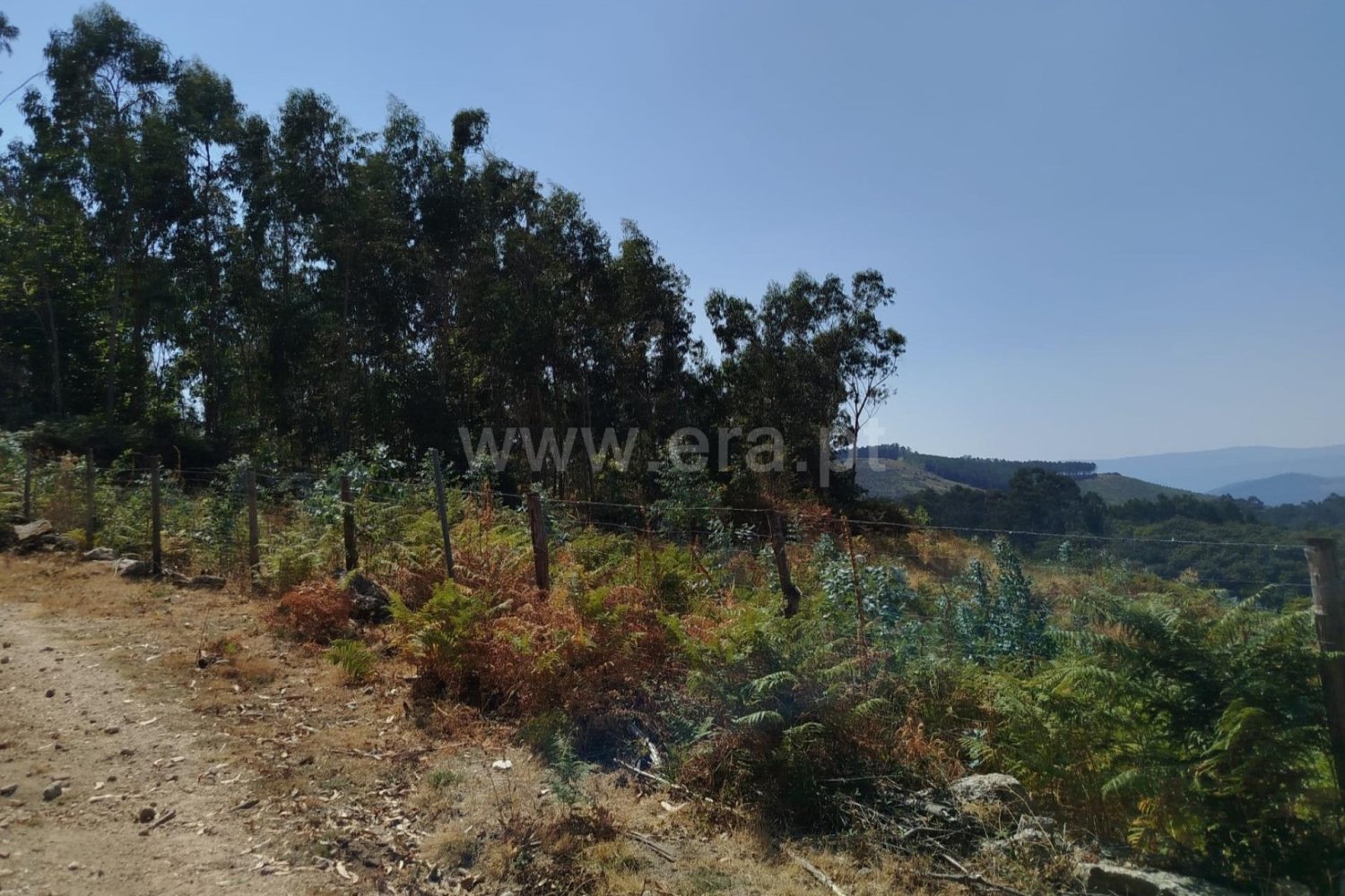 Terreno en Ponte de Lima, Portugal No. 305270
