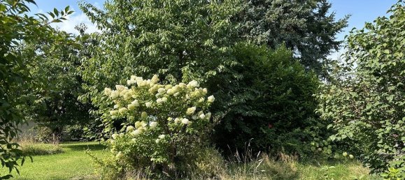 2 chambres Maison de ville à Ludwigslust-Parchim, Germany No. 165266 13