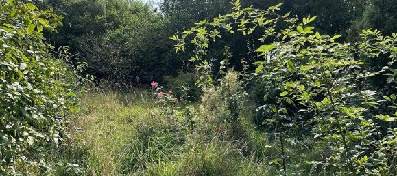 2 chambres Maison de ville à Ludwigslust-Parchim, Germany No. 165266 14