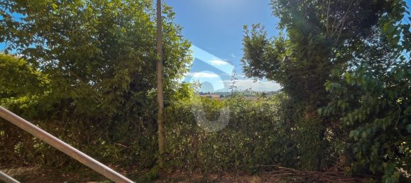 5غرفة منزل في Senigallia, Italy رقم 261358 10