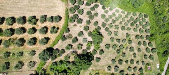 Terrain à Fiano Romano, Italy 25m² No. 2067 17