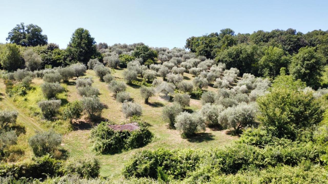 Terrain à Fiano Romano, Italy 25m² No. 2067