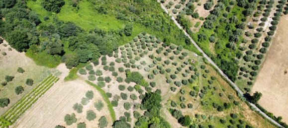 Terrain à Fiano Romano, Italy 25m² No. 2067 30